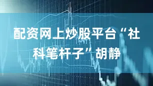 配资网上炒股平台“社科笔杆子”胡静