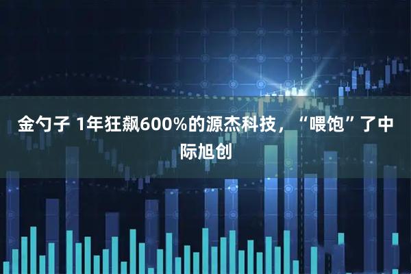 金勺子 1年狂飙600%的源杰科技，“喂饱”了中际旭创