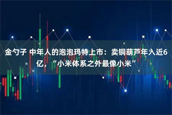 金勺子 中年人的泡泡玛特上市：卖铜葫芦年入近6亿，“小米体系之外最像小米”