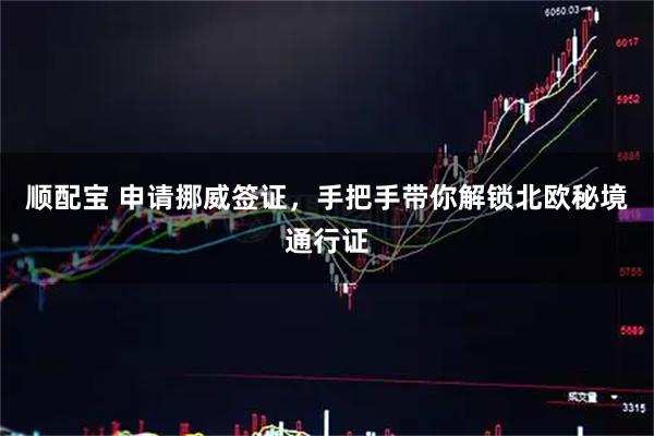 顺配宝 申请挪威签证，手把手带你解锁北欧秘境通行证