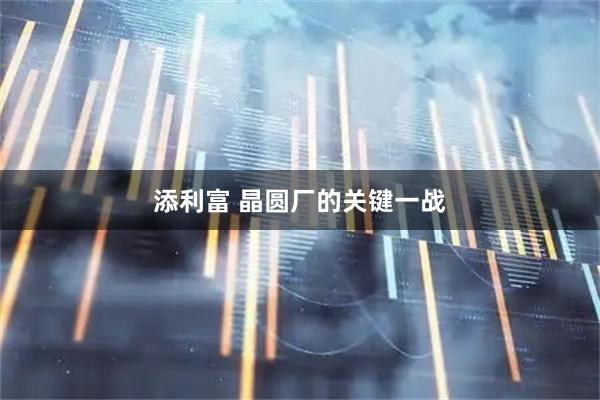 添利富 晶圆厂的关键一战