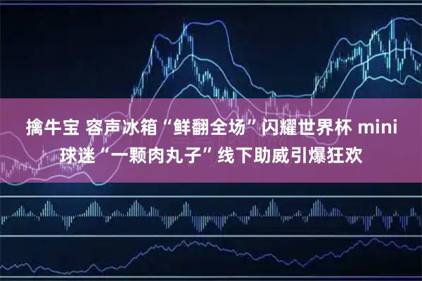 擒牛宝 容声冰箱“鲜翻全场”闪耀世界杯 mini球迷“一颗肉丸子”线下助威引爆狂欢